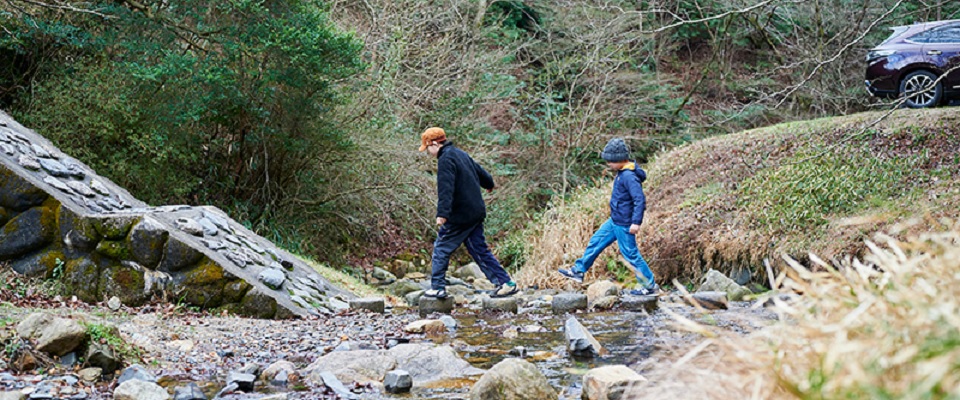 山城町森林公園